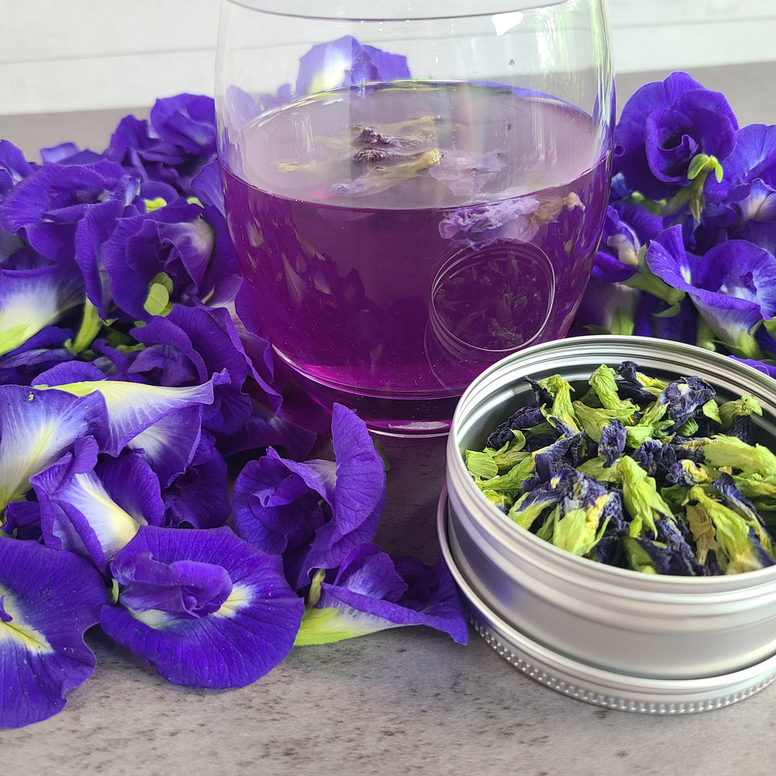 Butterfly Pea Flower *Fairy Lemonade*